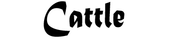 Cattle